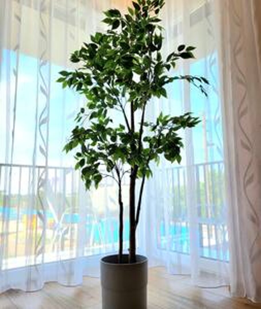 Golden Art Show - 20