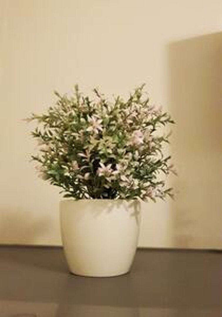 Golden Art Show - 22